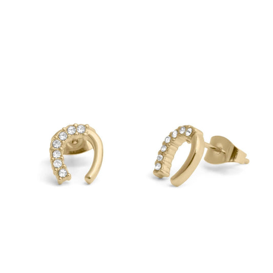 Lucky Horse Shoe Stone Earrings