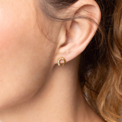 Lucky Horse Shoe Stone Earrings